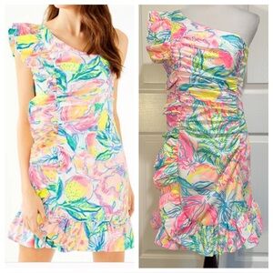 Lilly Pulitzer Tiffani Stretch Dress in the "Fiesta Bamba"